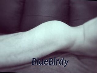 BlueBirdy