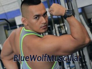 BlueWolfMuscular