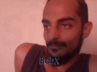 BobX