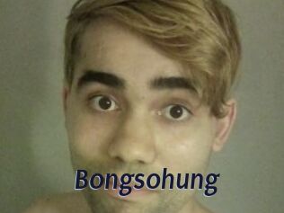 Bongsohung