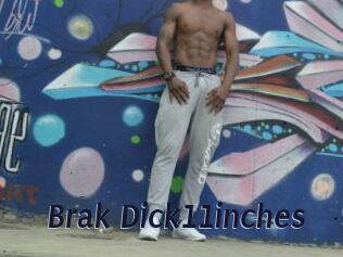 Brak_Dick11inches