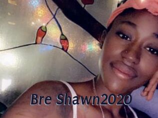 Bre_Shawn2020