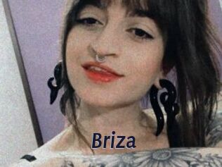 Briza