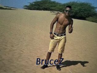 BruceZ