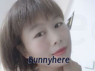 Bunnyhere