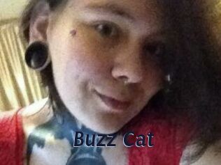 Buzz_Cat