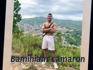 Bamihiam_camaron