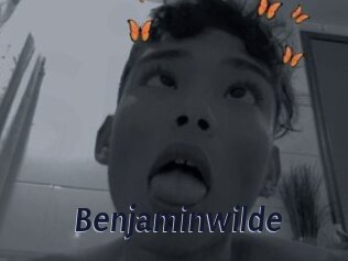 Benjaminwilde