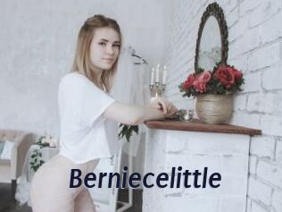 Berniecelittle