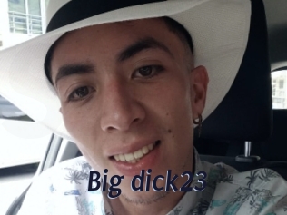 Big_dick23