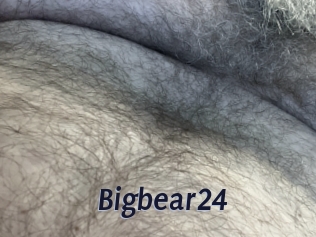 Bigbear24