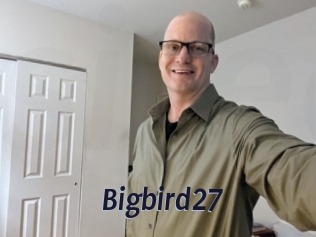 Bigbird27