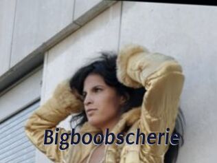 Bigboobscherie