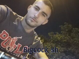 Bigcock_sh