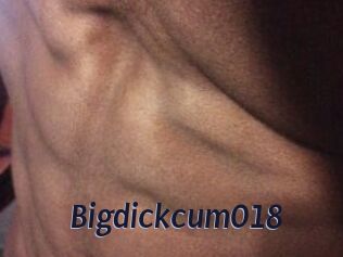 Bigdickcum018