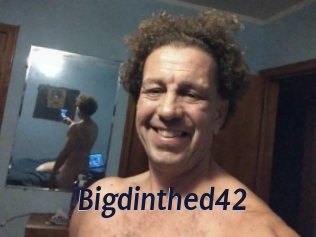 Bigdinthed42