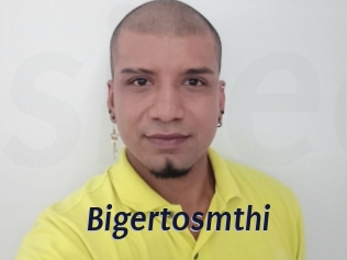 Bigertosmthi