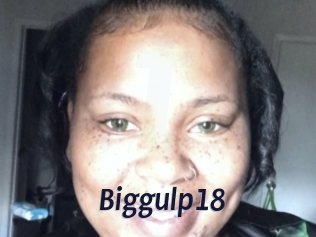 Biggulp18