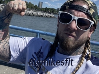 Bigmikesfit