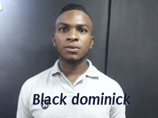 Black_dominick