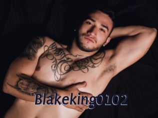 Blakeking0102