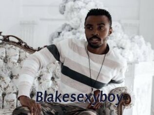 Blakesexyboy