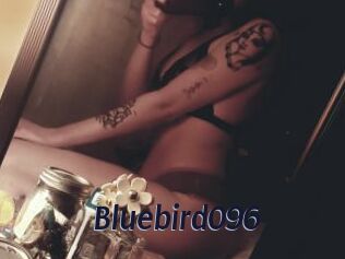 Bluebird096