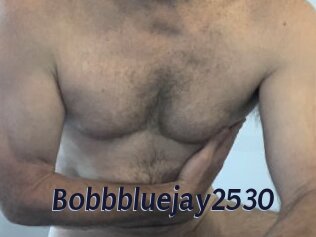 Bobbbluejay2530