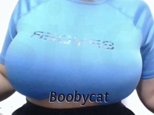 Boobycat