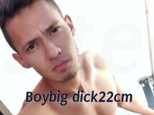 Boybig_dick22cm