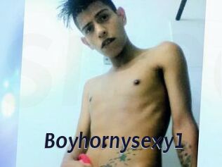 Boyhornysexy1