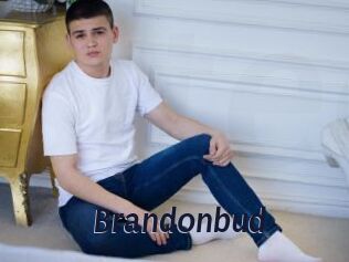 Brandonbud