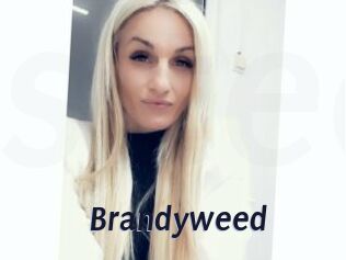 Brandyweed