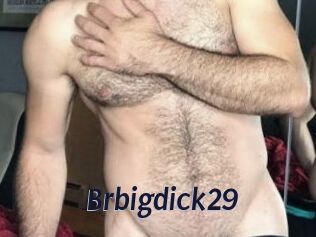 Brbigdick29