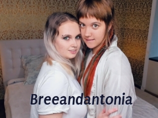 Breeandantonia