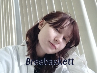 Breebaskett