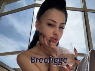 Breefigge