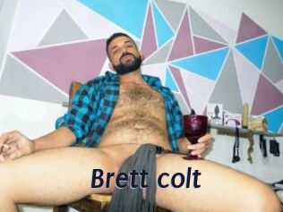 Brett_colt