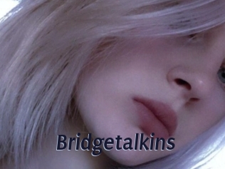 Bridgetalkins