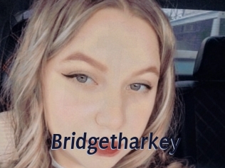 Bridgetharkey