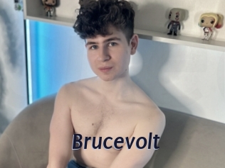 Brucevolt