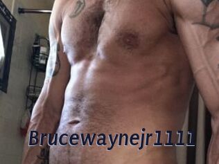 Brucewaynejr1111