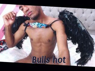 Bulls_hot