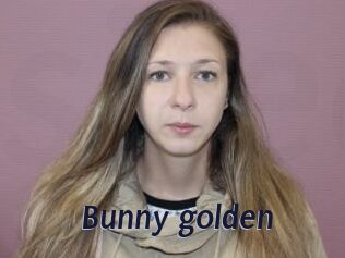 Bunny_golden