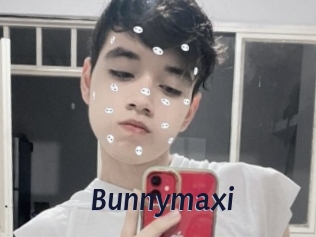 Bunnymaxi