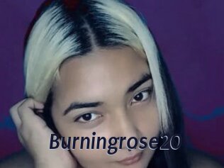 Burningrose20