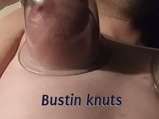 Bustin_knuts