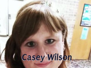 Casey_Wilson