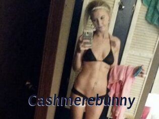 Cashmerebunny