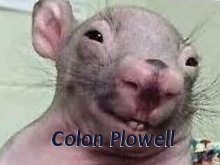 Colon_Plowell